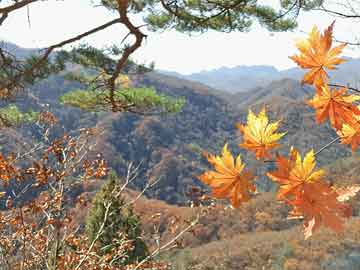 硫化钠水解（硫化钠水解方程式）