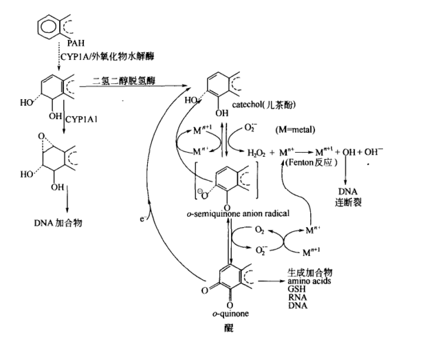 2-硝基芴（硝基pah）