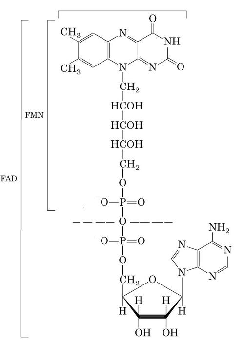 包含fad-1470的词条