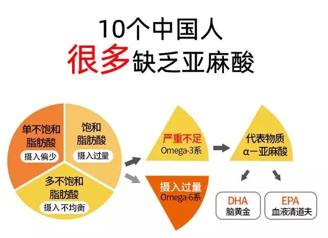 亚麻酸（亚麻酸长期服用的危害）