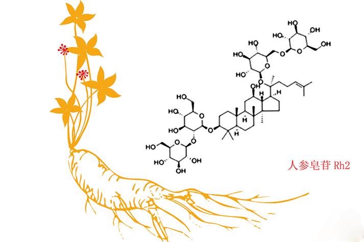 rh2（rh2人参皂苷功效）