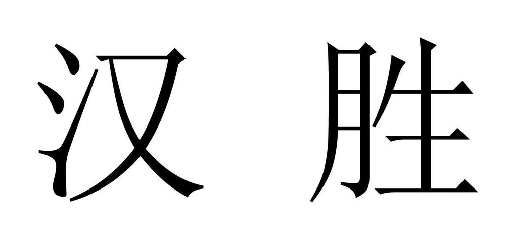 汉胜汽车-汉胜集团