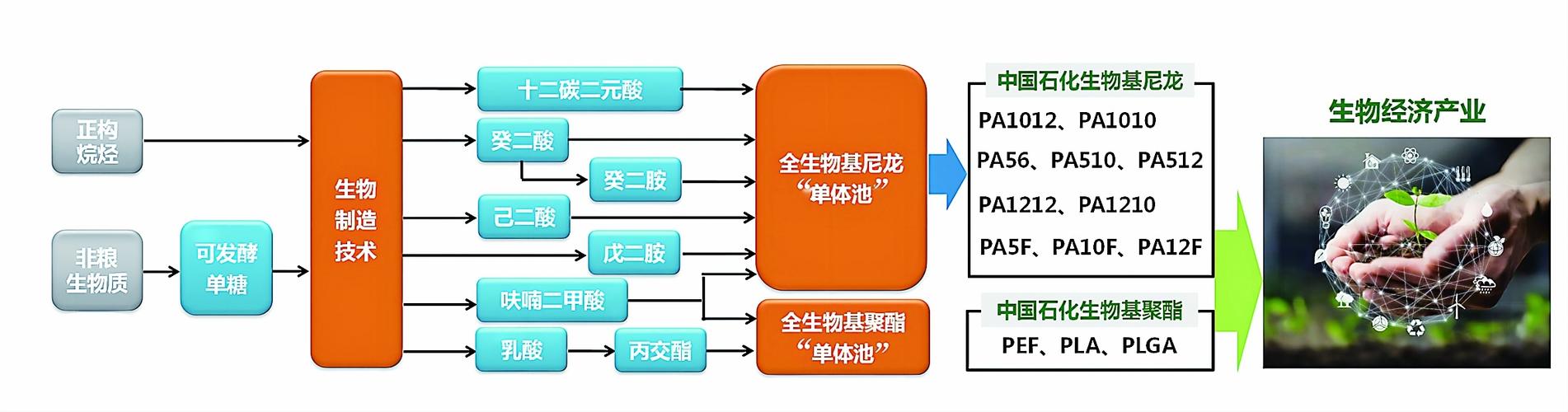 为什么要选择精细化工，从能源角度来看,为何要发展精细化工?？(wei shen me yao xuan ze jing xi hua gong cong neng yuan jiao du lai kan wei he yao fa zhan jing xi hua gong)