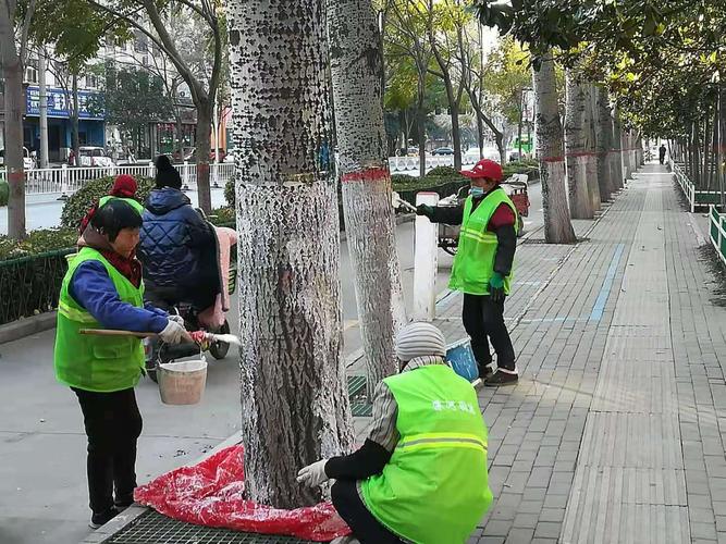 绿化工年纪为什么比较大，绿化招工多大年龄！(lyu hua gong nian ji wei shen me bi jiao da lyu hua zhao gong duo da nian ling)