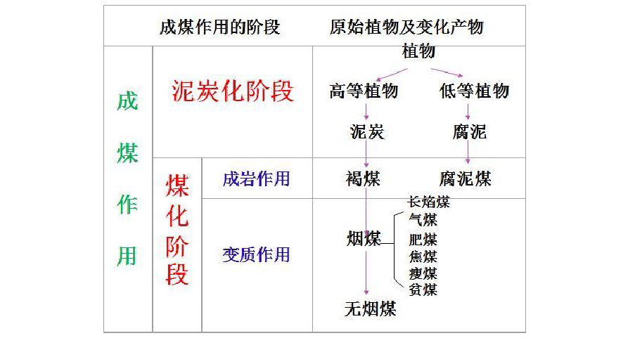 煤为什么称为化工之母，煤为什么称为化工之母的原因！(mei wei shen me cheng wei hua gong zhi mu mei wei shen me cheng wei hua gong zhi mu de yuan yin)