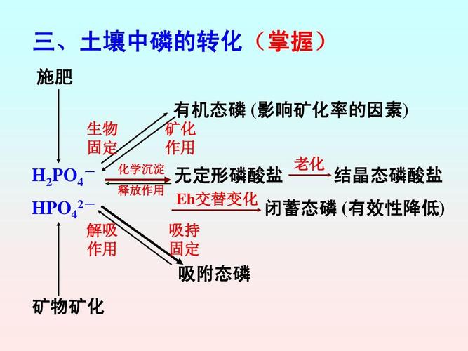 为什么磷化工重要性高一点，为什么要磷化处理？(wei shen me lin hua gong zhong yao xing gao yi dian wei shen me yao lin hua chu li)