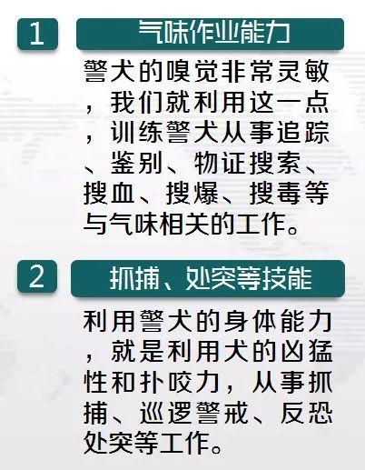 化工厂为什么要养狗？化工生产厂区为什么要禁烟禁火？								(hua gong chang wei shen me yao yang gou hua gong sheng chan chang qu wei shen me yao jin yan jin huo)