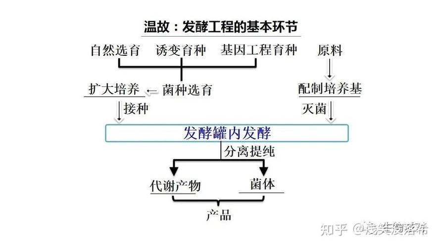 发酵工程应用于化工吗为什么？发酵工程应用于化工吗为什么？								(fa jiao gong cheng ying yong yu hua gong ma wei shen me fa jiao gong cheng ying yong yu hua gong ma wei shen me)