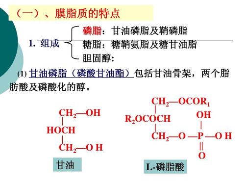 磷酸二甲酯是化工吗为什么，磷酸二甲酯化学式(lin suan er jia zhi shi hua gong ma wei shen me lin suan er jia zhi hua xue shi)