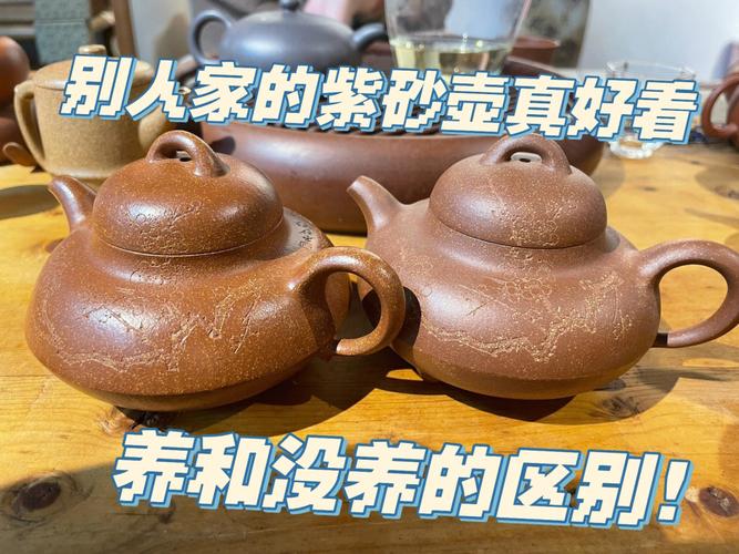 化工壶能内养包浆吗为什么，化工壶用多久没有毒！(hua gong hu neng nei yang bao jiang ma wei shen me hua gong hu yong duo jiu mei you du)