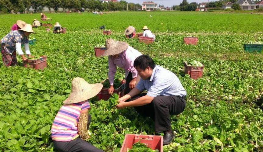 老板需要做绿化工程吗为什么，做绿化的老板？(lao ban xu yao zuo lyu hua gong cheng ma wei shen me zuo lyu hua de lao ban)