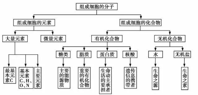 人体细胞为什么是化工厂，细胞的工厂化生产为什么没有再分化？(ren ti xi bao wei shen me shi hua gong chang xi bao de gong chang hua sheng chan wei shen me mei you zai fen hua)