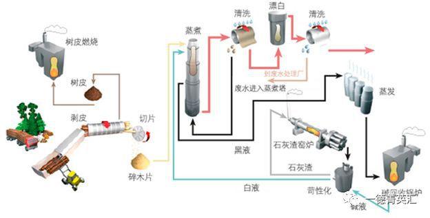 纸浆属于煤化工吗为什么？纸浆属于什么行业？								(zhi jiang shu yu mei hua gong ma wei shen me zhi jiang shu yu shen me hang ye)