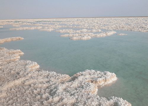 钾矿是化工行业吗为什么，钾矿主要产地！(jia kuang shi hua gong hang ye ma wei shen me jia kuang zhu yao chan di)