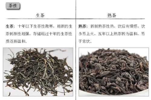 普洱熟茶是化工茶吗为什么，普洱熟茶属于哪一类(pu er shu cha shi hua gong cha ma wei shen me pu er shu cha shu yu na yi lei)