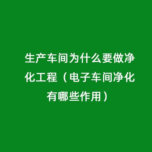 为什么要建造电子净化工程，为什么要逐步实现电子化管理？(wei shen me yao jian zao dian zi jing hua gong cheng wei shen me yao zhu bu shi xian dian zi hua guan li)