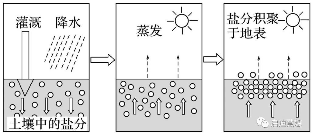 两碱化工为什么用盐，为什么碱和盐反应都需溶(liang jian hua gong wei shen me yong yan wei shen me jian he yan fan ying dou xu rong)