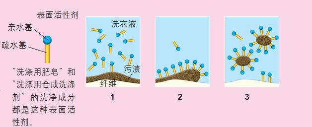 衣服为什么有种化工味道？衣服化学气味浓怎么洗？								(yi fu wei shen me you zhong hua gong wei dao yi fu hua xue qi wei nong zen me xi)