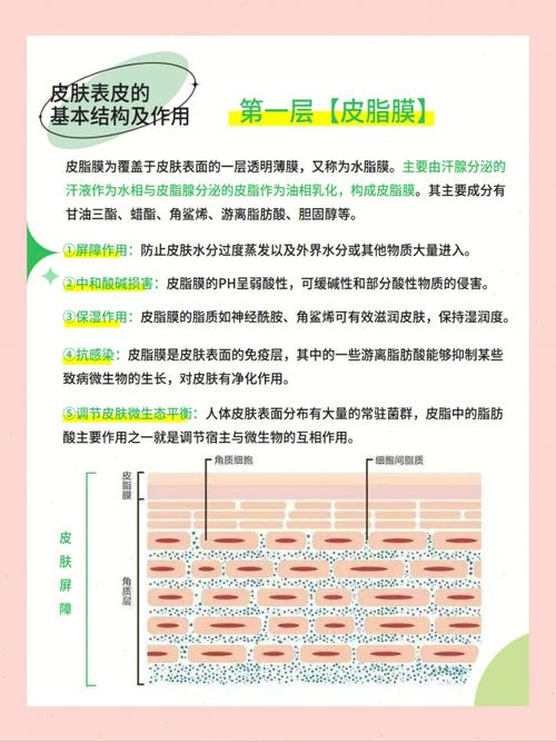 功能膜属于精细化工吗为什么，功能膜属于精细化工吗为什么呢！(gong neng mo shu yu jing xi hua gong ma wei shen me gong neng mo shu yu jing xi hua gong ma wei shen me ne)